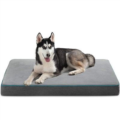 Gwo kabann chen òtopedik