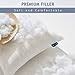 Throw Pillows