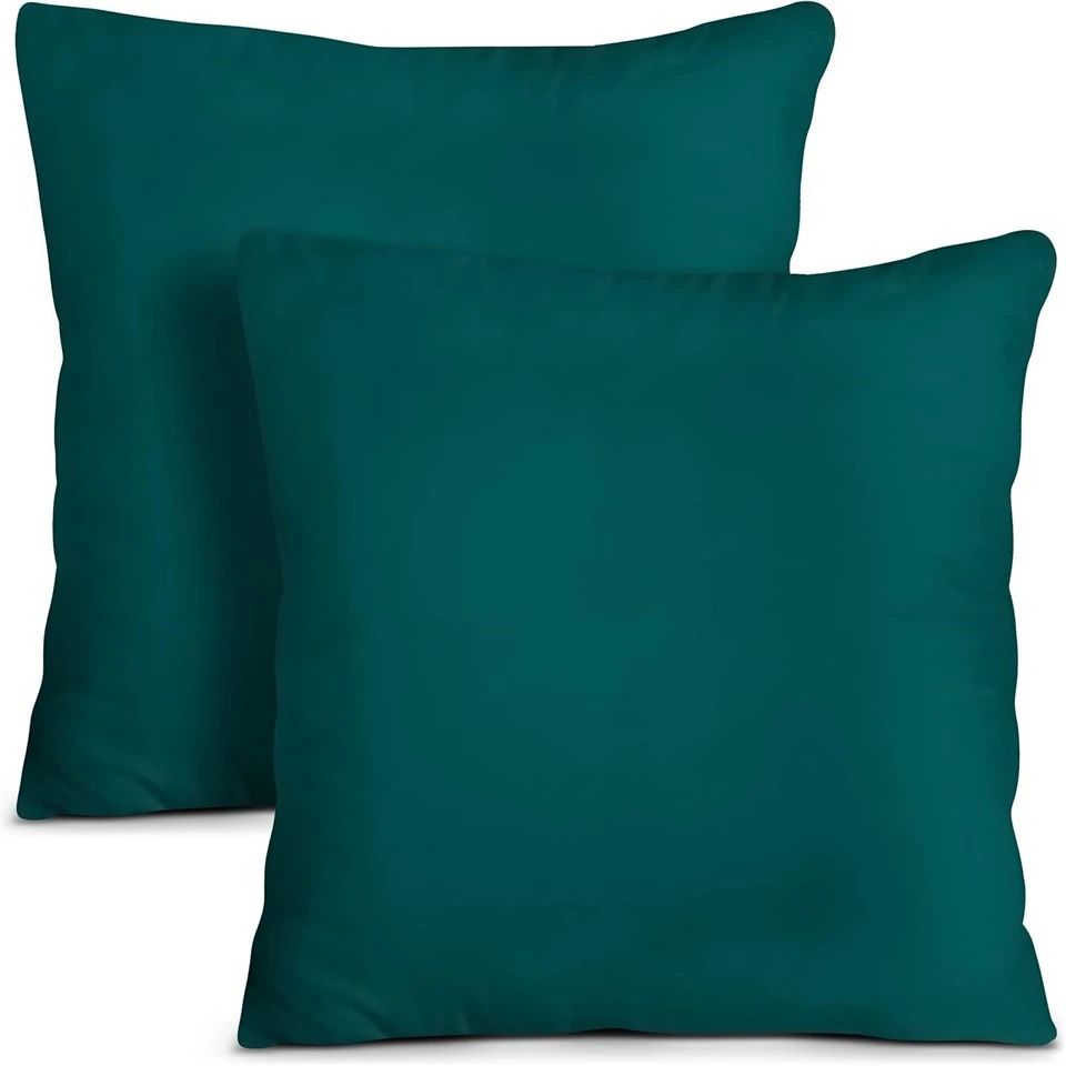 Throw Pillows Cushion